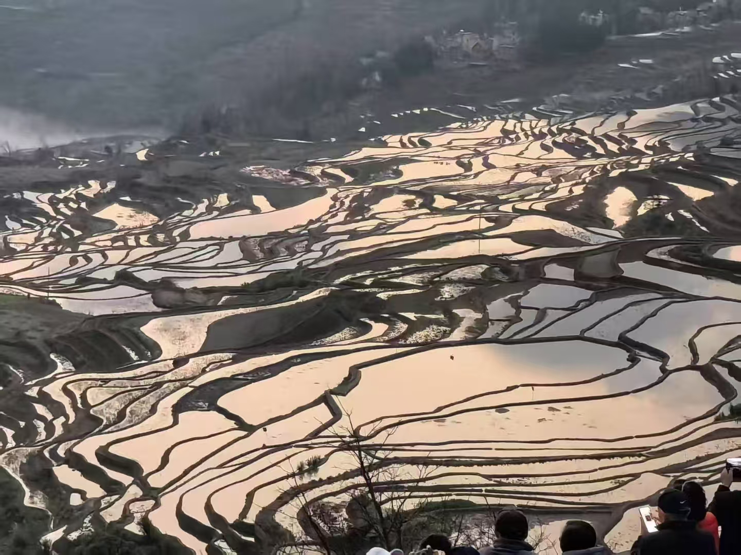 文章附图